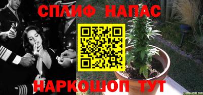 скорость Обь