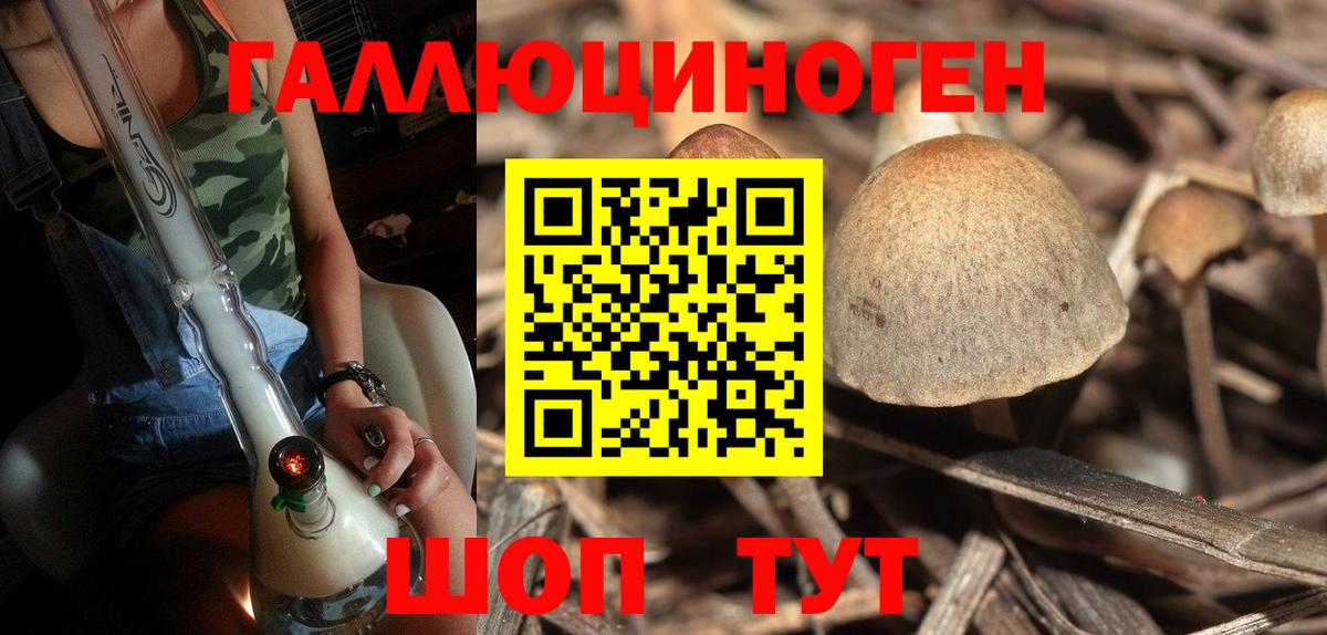 Галлюциногенные грибы мицелий Урюпинск