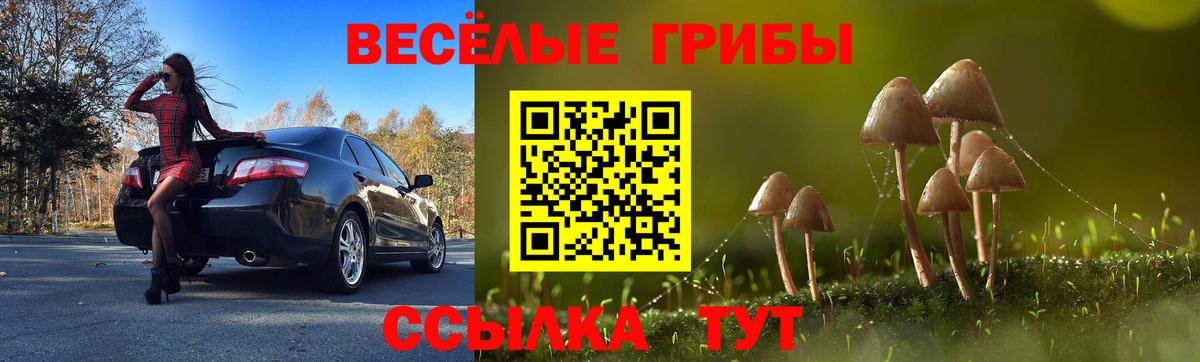 Урюпинск  Псилоцибиновые грибы мухоморы  Вход с VPN 
